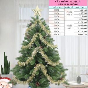 Cây thông 3 loại lá gắn trái thông