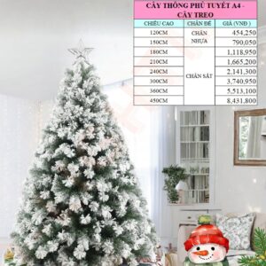 Cây thông phủ tuyết A4