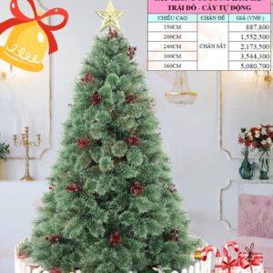 Cây thông cước nở hoa gắn trái đỏ - Cây tự động