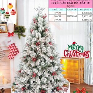 Cây thông PE 3 loại lá phủ tuyết gắn trái đỏ - Cây tự động